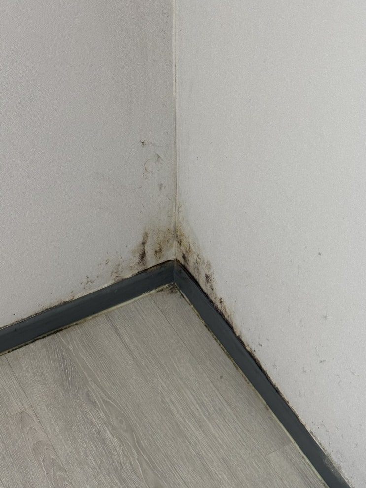  인천 계양구 박촌동 연립빌라 입주청소 이사청소｜곰팡이 제거부터 디테일까지 확실하게