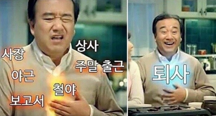 오늘의 퇴사를 미루는 꿀템… 모니터 사생활 보호 필름 (거치식 필수)
