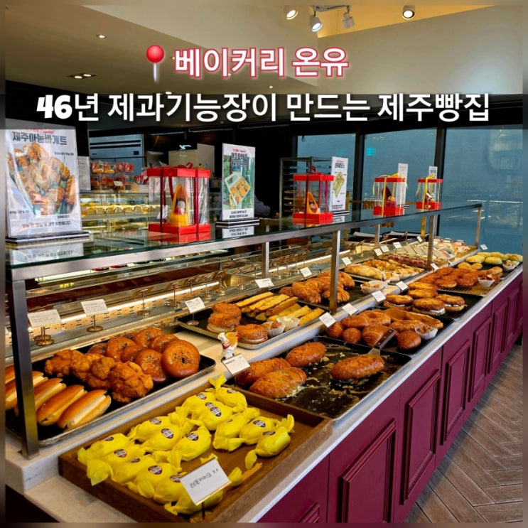  제주 베이커리 맛집 온유 이호테우해변 근처 빵지순례