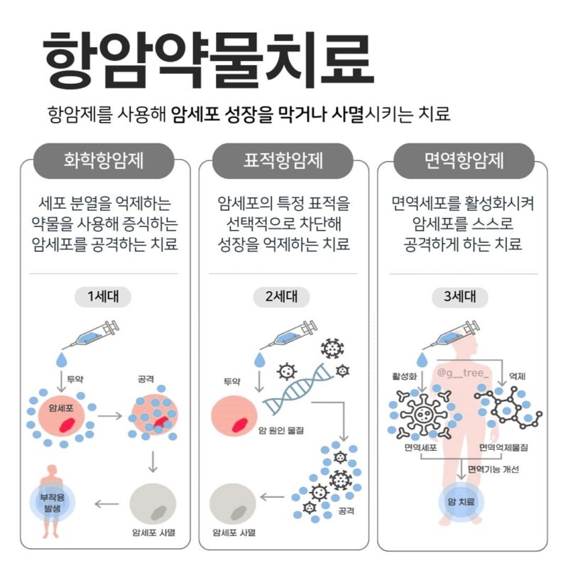 2026년 암 치료비 TOP6 알아보기.