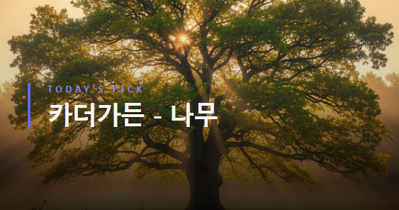 카더가든 - 나무 [가사/듣기/해석]