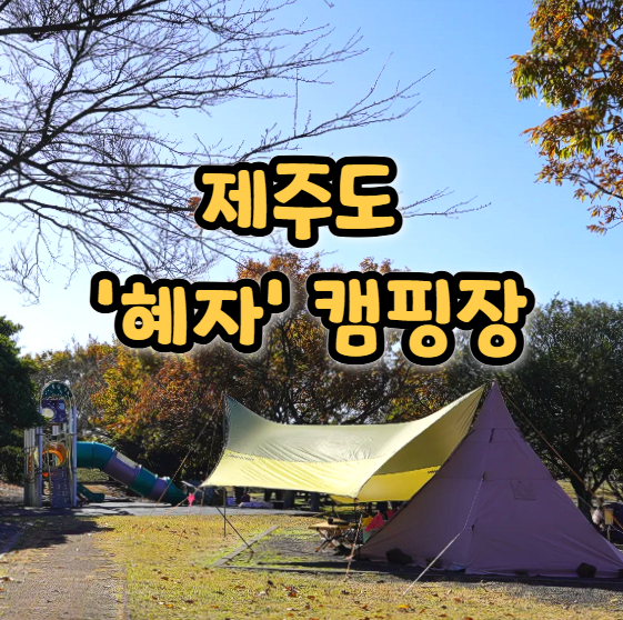  제주도 캠핑장 추천, 모구리 야영장 리뷰 및 예약 방법