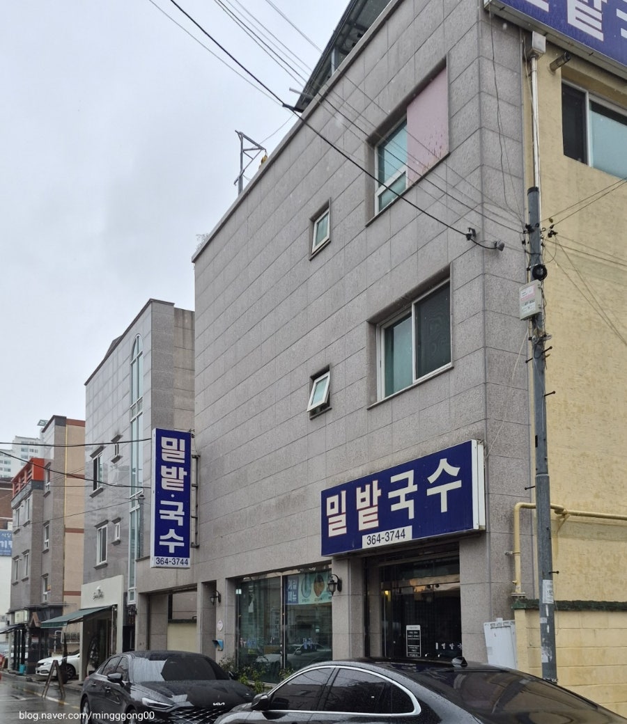 밀밭국수 사진 1