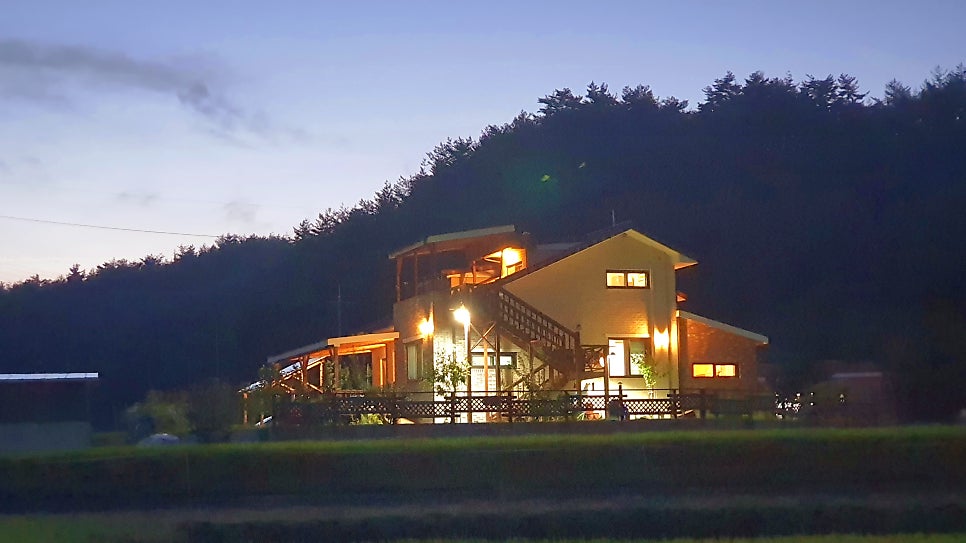 말라이카 사진 1