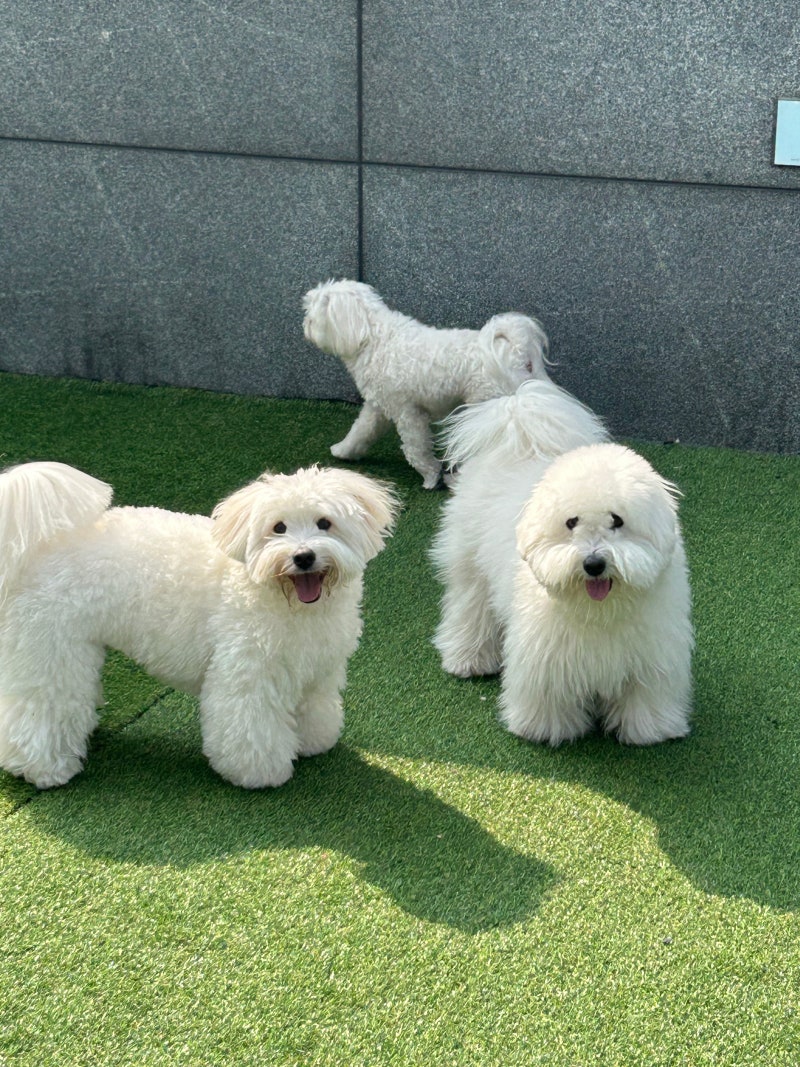사진 5