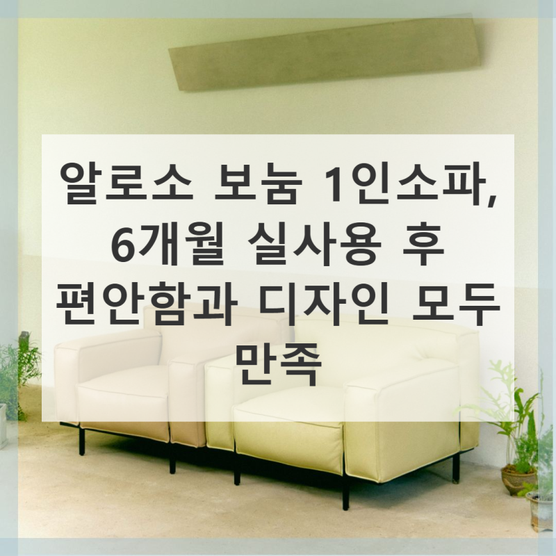 알로소 보눔 1인소파 실제 사용 후기
