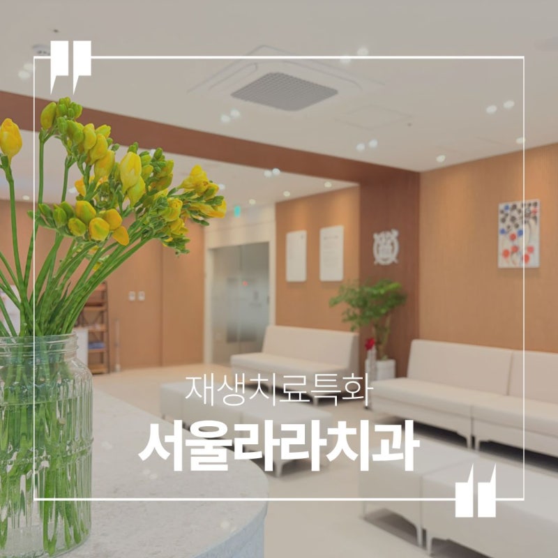 경기광주치과, 경안동치과 치아 재생 젤, 정말 임플란트를 대체할 수 있을까?