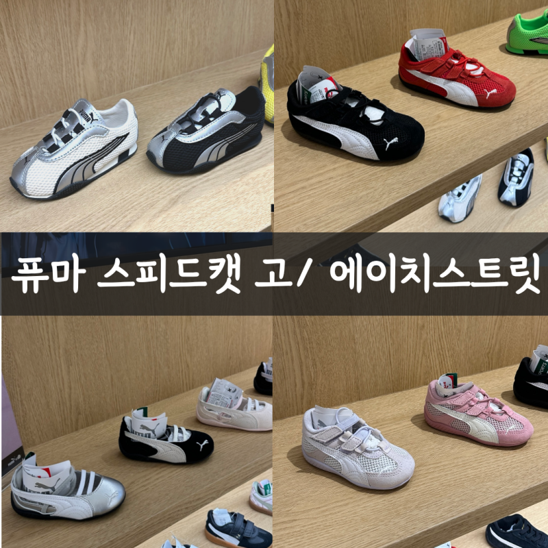 퓨마 스피드캣 고/에이치스트릿 베이비 150 후기 사이즈 팁