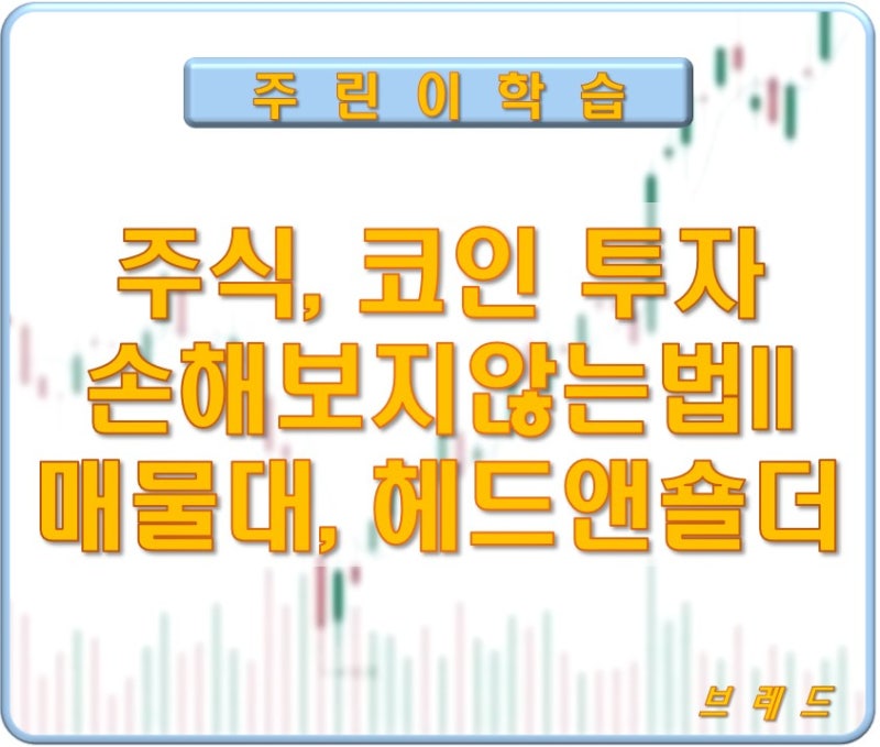 주식, 코인 손해보지않는 투자법 step2_헤드앤숄더,매물대