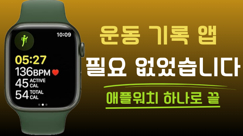 애플워치 운동 기록 앱 추천, 스텝퍼 30일 챌린지 이렇게 기록했습니다
