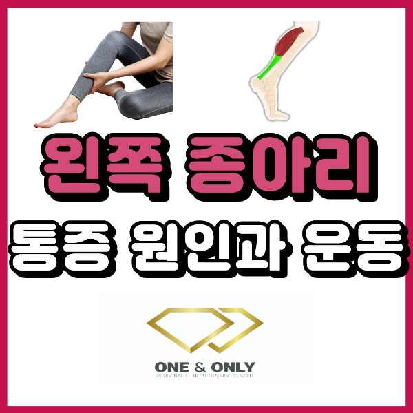  왼쪽 종아리 통증 계속된다면? 하지 정맥류 회원님의 통증 원인과 운동법 사직동 PT