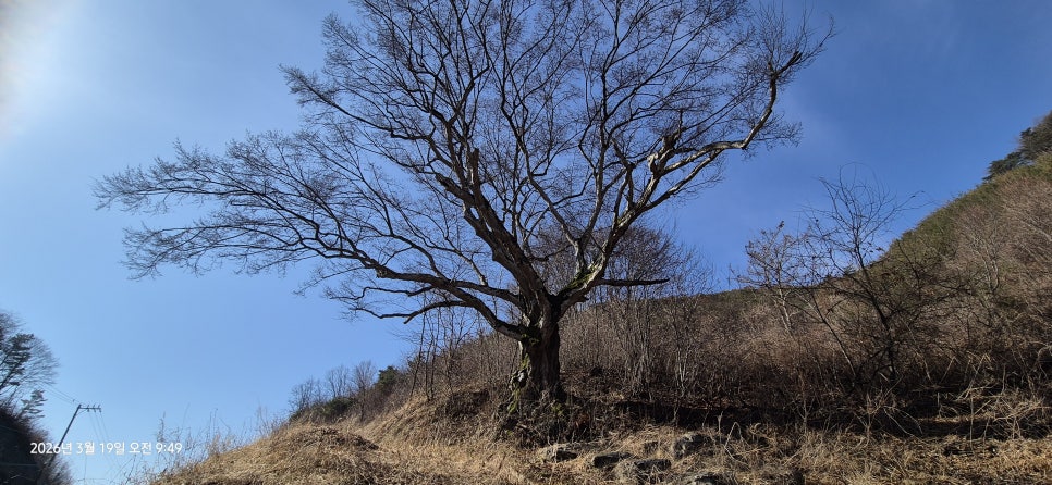 북만산 사진 3