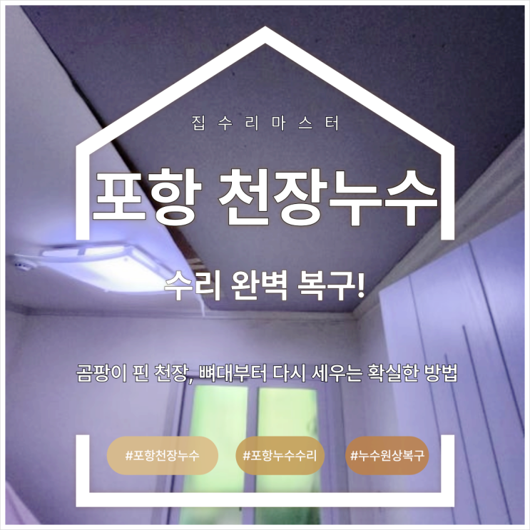  포항 천장 누수 수리 완벽 복구! 곰팡이 핀 천장, 뼈대부터 다시 세우는 확실한 방법
