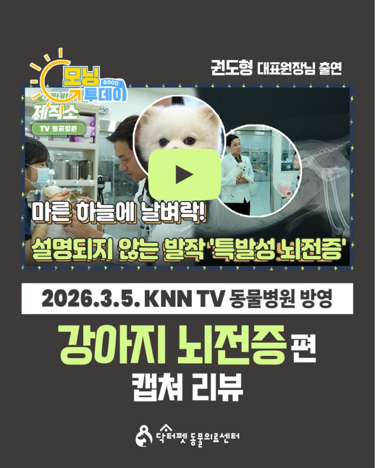  권도형 대표원장 KNN TV동물병원 출연 설명되지 않는 발작 강아지 특발성 뇌전증 캡쳐 리뷰 부산 개금 닥터펫