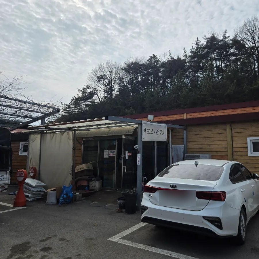덕산참숯랜드 사진