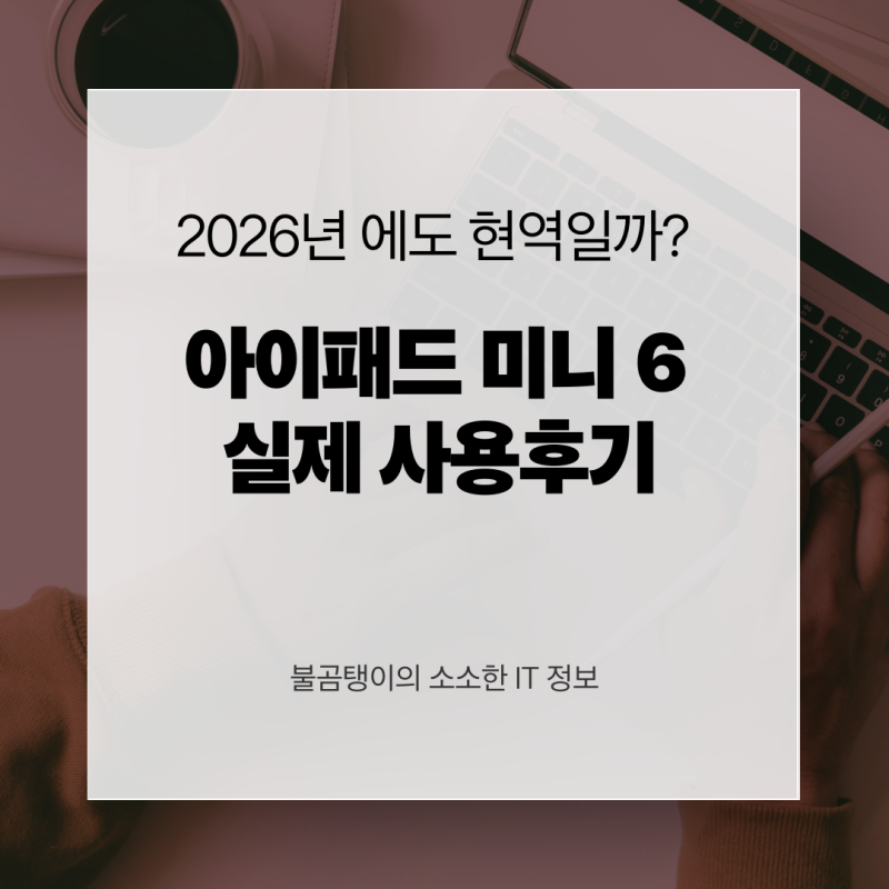 아이패드 미니6 256GB 셀룰러, 2026년에도 현역일까? 실제 사용 기준으로 테스트해봤다