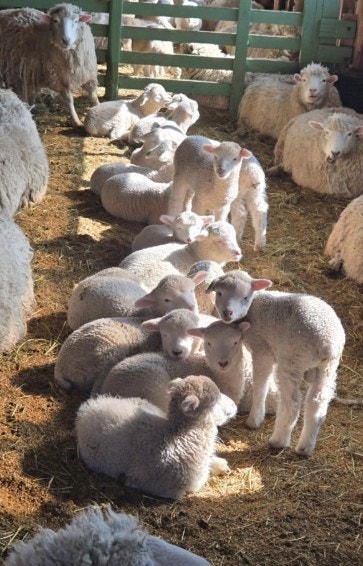 성대수산 사진 3