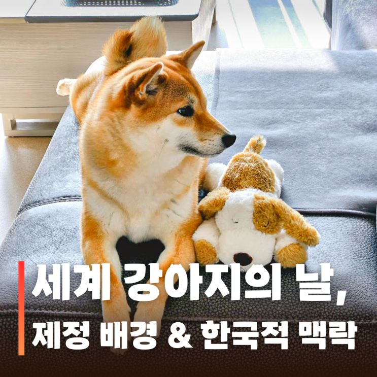  3월 23일 세계 강아지의 날 유래, 제정 배경부터 한국 맥락까지