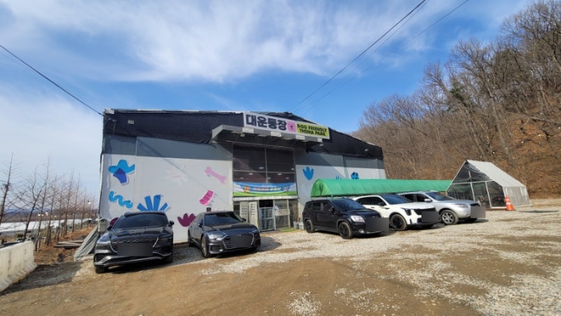 사진 3