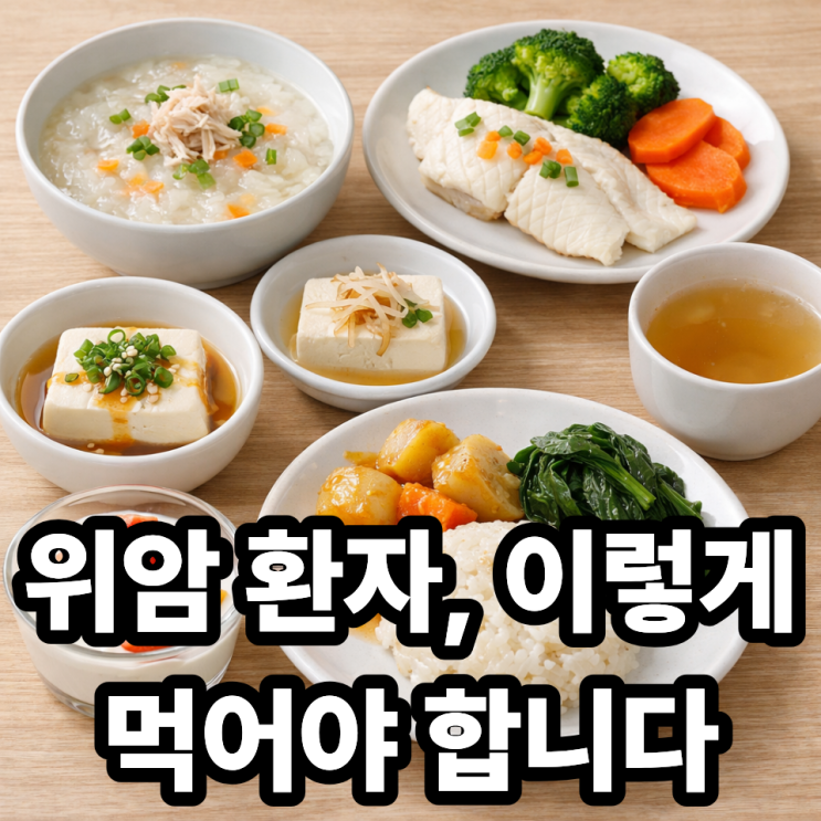  위암 환자를 위한 간편 식단 ️ 부담 없이 먹는 하루 식단 가이드