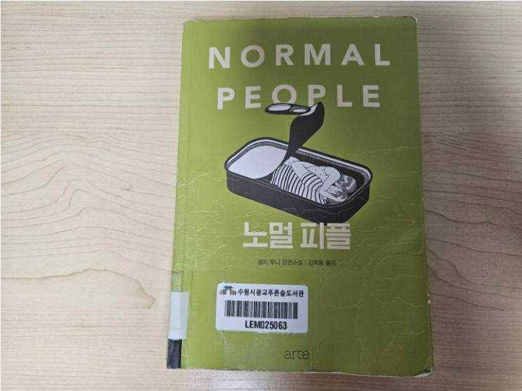  노멀피플 책) 인기남과 아싸녀의 서툴지만 사람을 변화시키는 관계