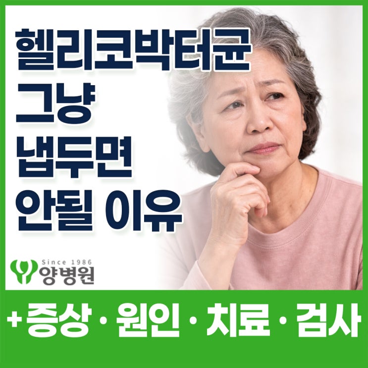  위내시경 후 헬리코박터균 발견됐다면, 그냥 두면 안되는 이유 - 증상 · 원인 · 치료 · 검사
