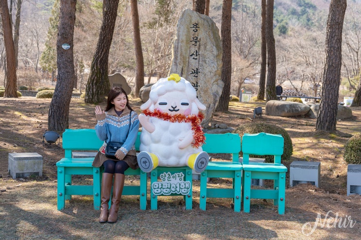 양평 용문 가볼만한곳 용문사 은행나무 용문산 관광단지
