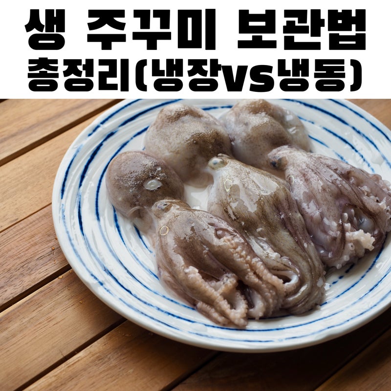 주꾸미 보관법 총정리 (냉장 vs 냉동, 뭐가 정답일까)