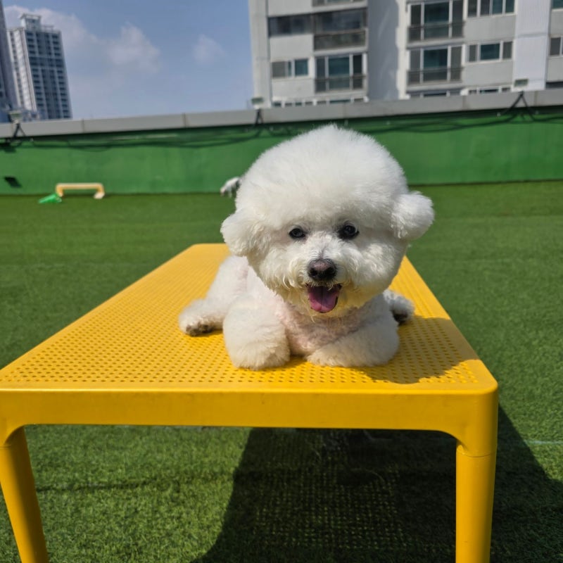 사진 4