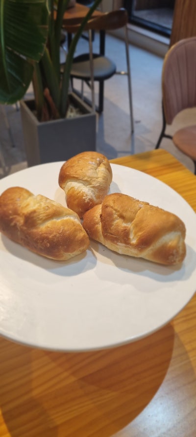사진 2