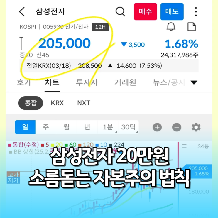  삼성전자 주가 20만원이 증명한 자본주의 소름 돋는 법칙