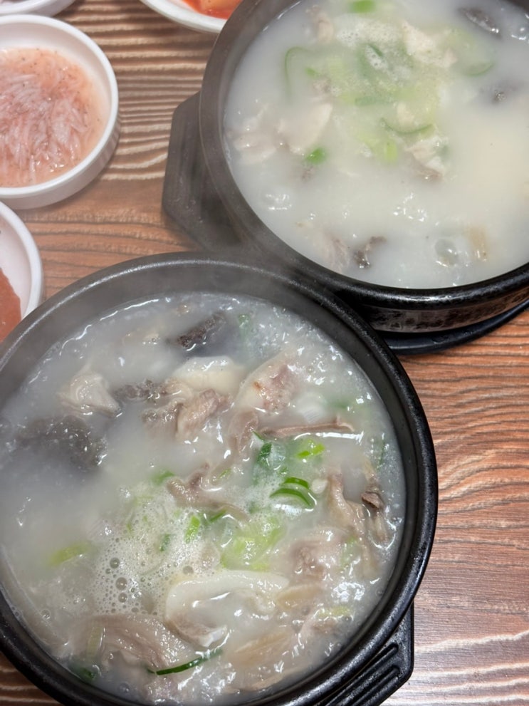  포항돼지국밥 맛집 현지인 추천 돈지메국밥