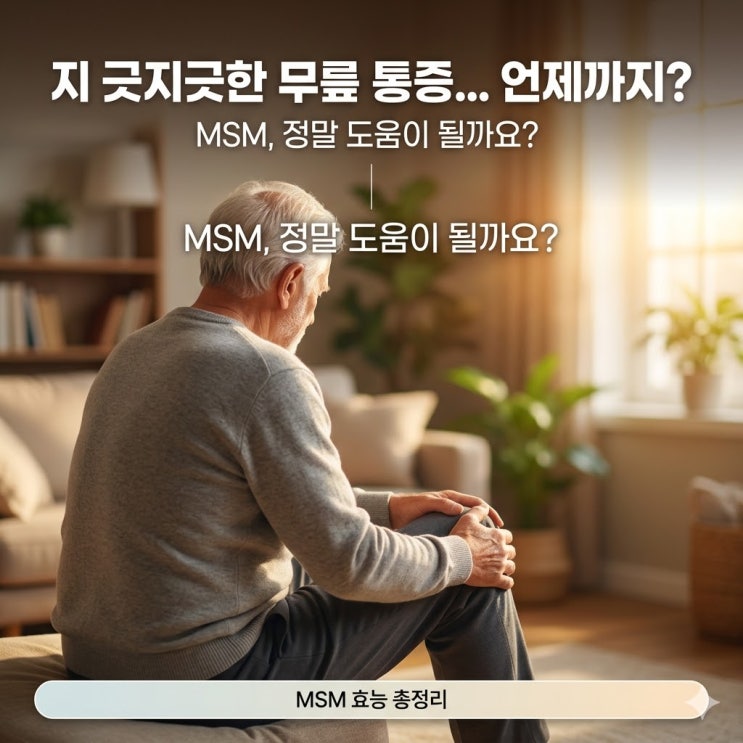  MSM 식이유황 관절통증 부작용, 진짜 효과와 주의점 정리