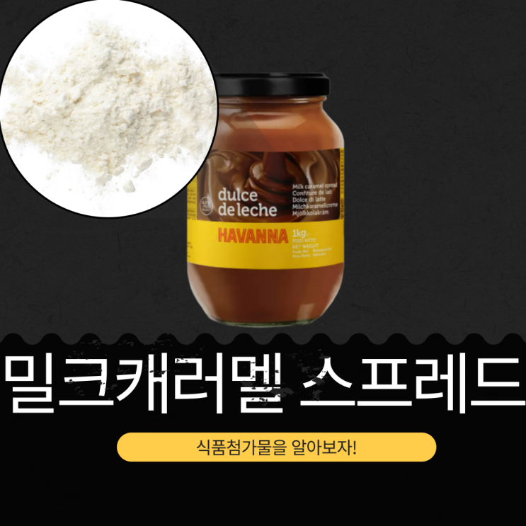  코스트코 추천 9,990원 스페인산 [HAVANNA 둘세 데 레체 밀크 캐러멜 스프레드]