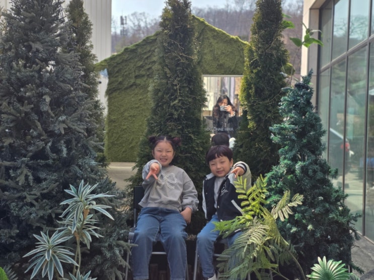  아직 끝나지 않은 엄마 생일 파티