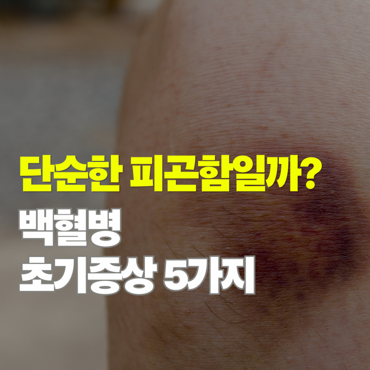  단순 피로일까? 백혈병 초기증상 5가지와 몸에 생기는 이상 신호