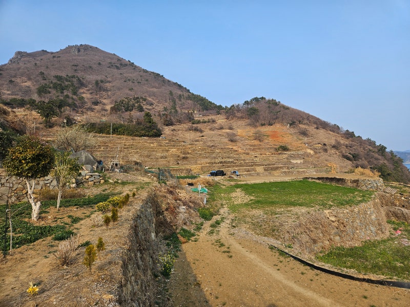 사진 5