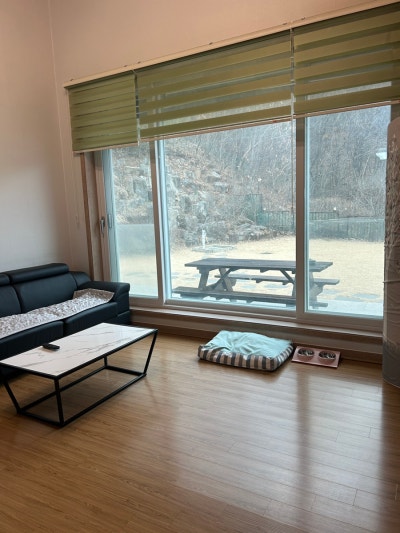 사진 7
