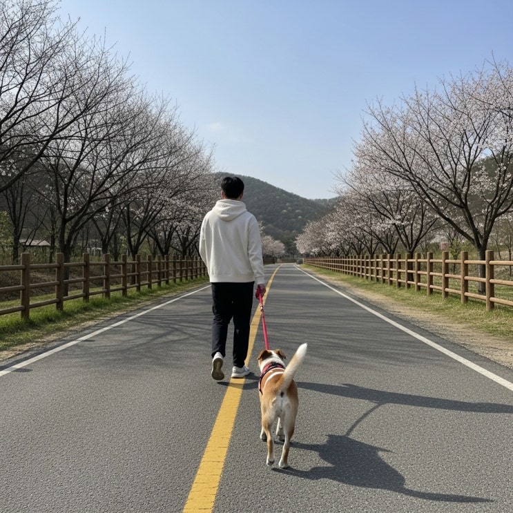  우리집 강아지 하루 산책 시간, 얼마나 해야 가장 이상적일까?