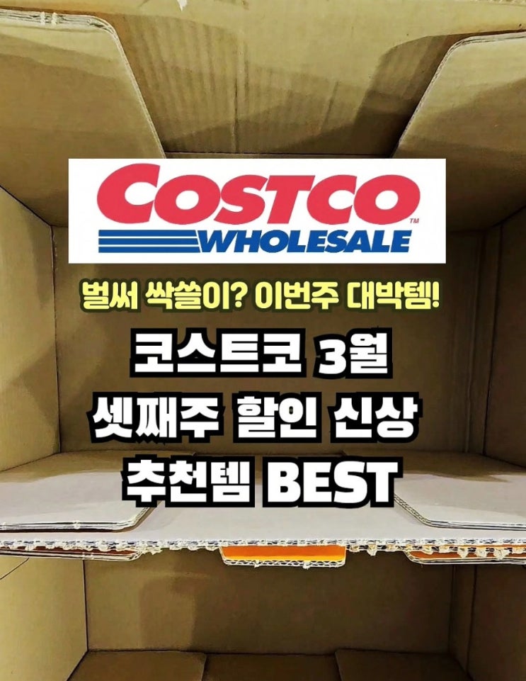  코스트코 3월 셋째주 할인 추천템 품절대란!