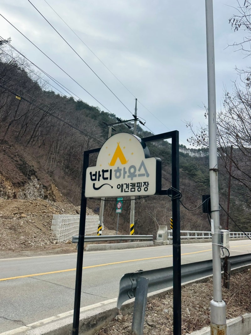 사진 8