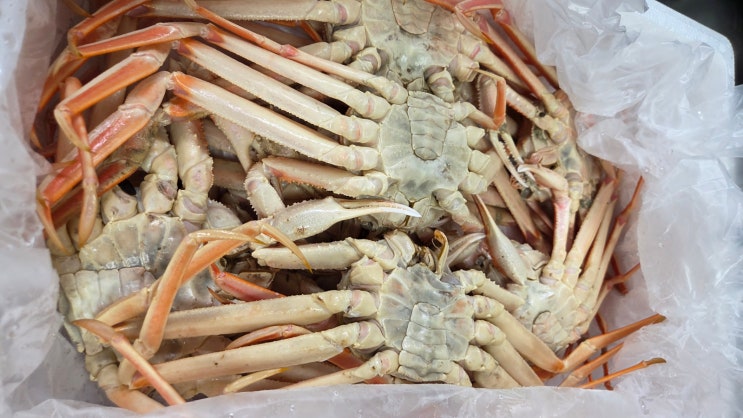 오늘은 대게 1인당 1마리씩 제공되었어요.  쑥떡 먹는 날! 