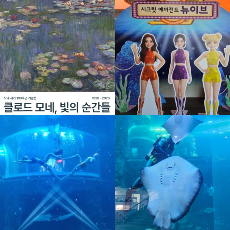  3월 여수 여행 가볼만한곳 여수아쿠아플라넷 입장권 할인