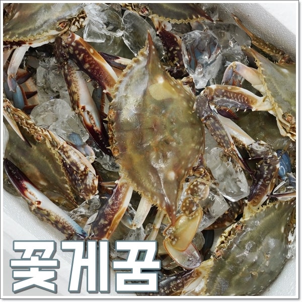 꽃게꿈 해몽 꽃게에 물린꿈 풀이 금은보화 재물운 상승