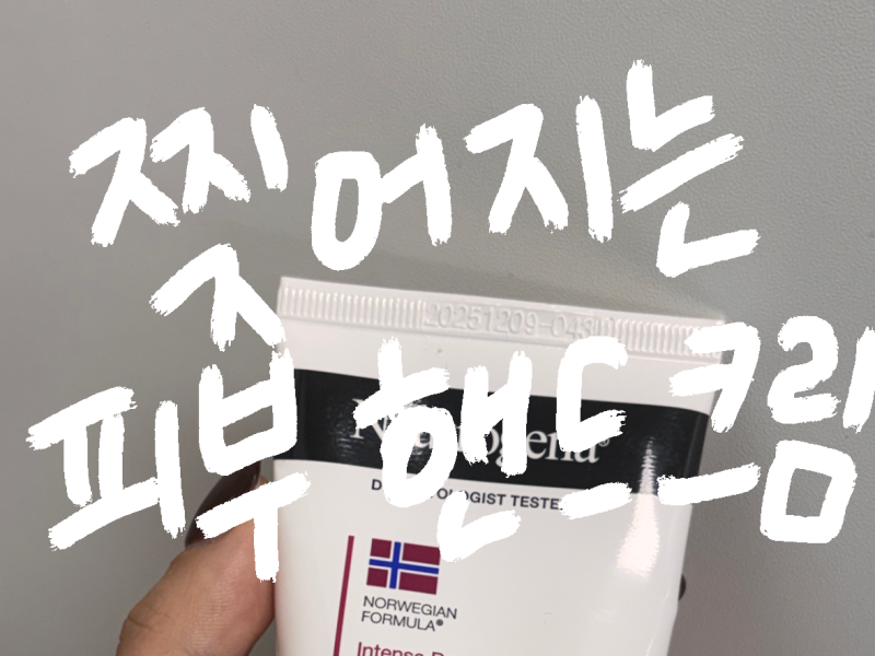 뉴트로지나 인텐스리페어 시카 핸드크림 건성피부 겨울 장단점