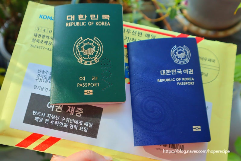 용인 수지구청 신여권 발급 사진 사이즈 온라인재발급 갱신 차세대전자여권 아기여권준비....