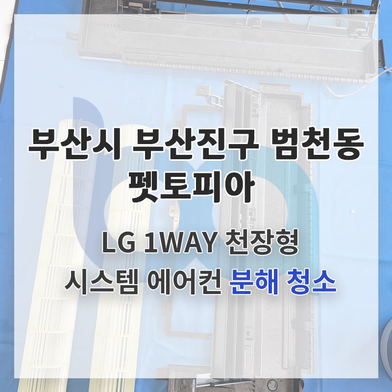사진 2
