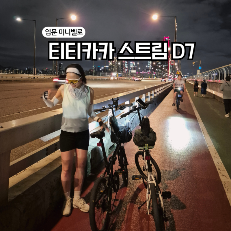 티티카카 미니벨로 | 티티카카 스트림 D7 1년 라이딩 후기