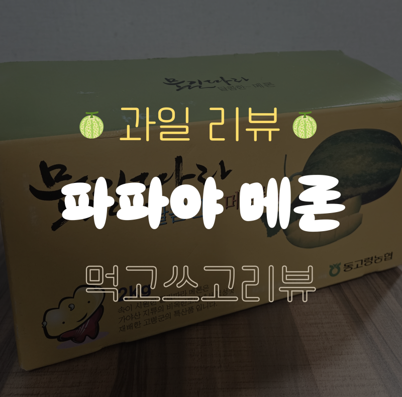 파파야멜론 먹는법과 후숙은 언제까지? 직접 먹어본 후기!