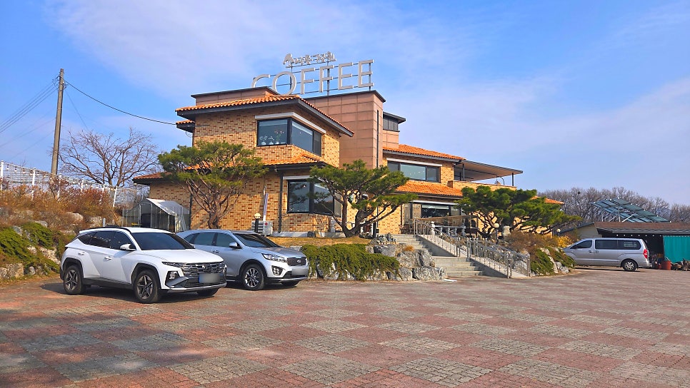 소나무정원카페 사진 2